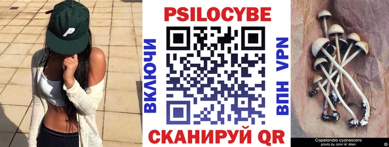 mega ссылка  Алагир  Псилоцибиновые грибы мицелий 